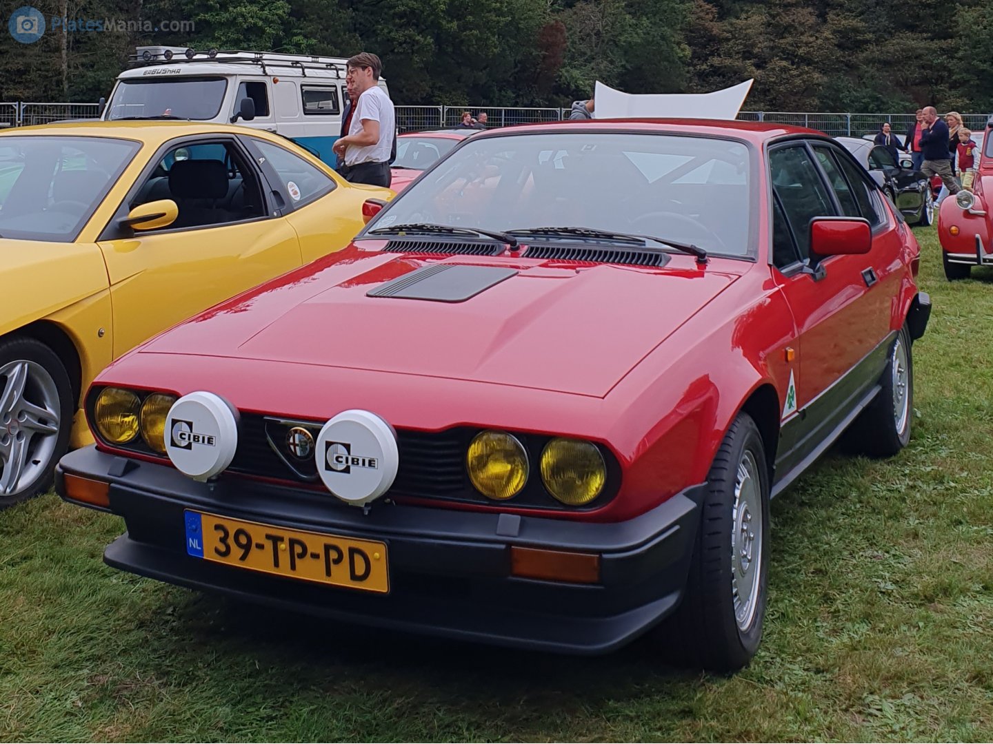 39-TP-PD, Alfa Romeo GTV 1st gen (116), 1980–1987