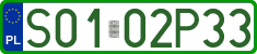 License plates of Poland, Professional plates