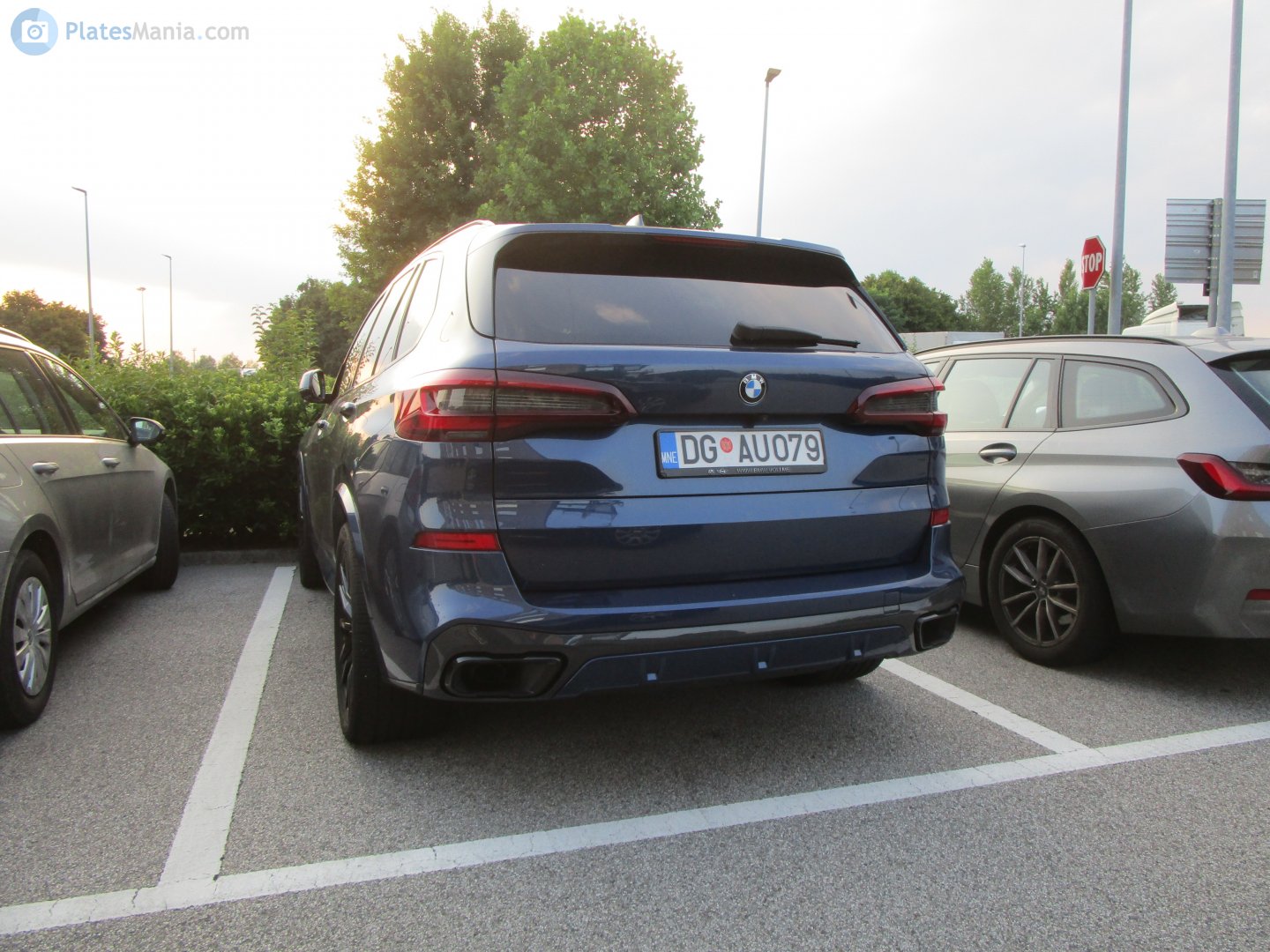 DG AU079, BMW X5 4th gen (G05), 2018–2023