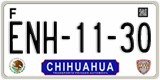 Chihuahua, Cars (AAA-00-00)
