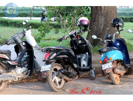 1Q-5439, Honda Scoopy