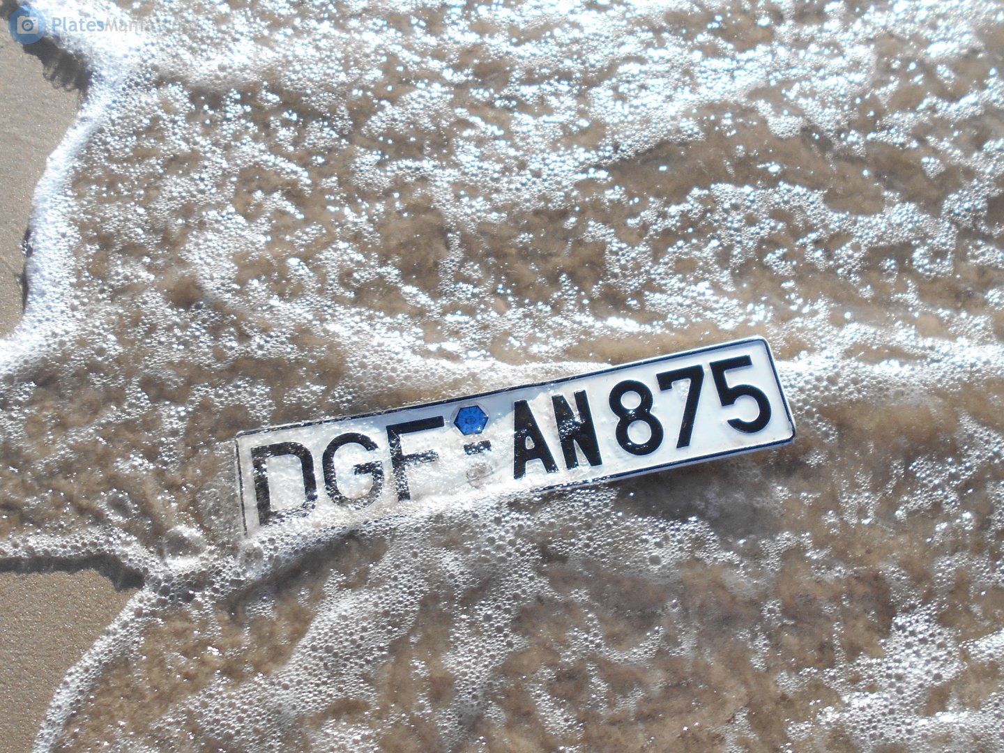 DGF AN 875, License plate without vehicle 