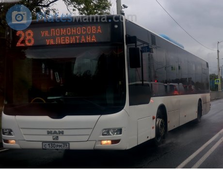 с130рм39, MAN Lion