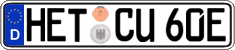 German license plate, Electric vehicles