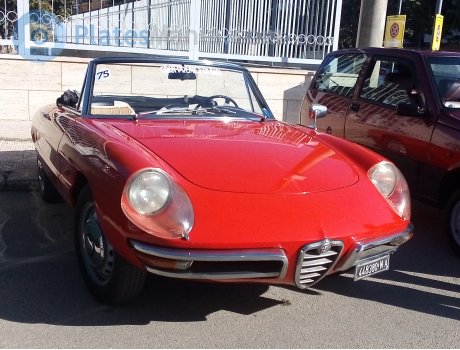 448380 NA, Alfa Romeo Spider