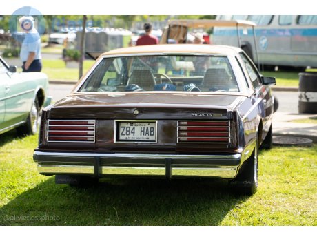 Z84 HAB, Dodge Mirada