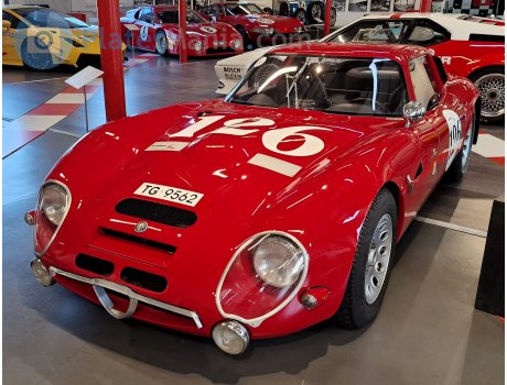 TG 9562, Alfa Romeo TZ