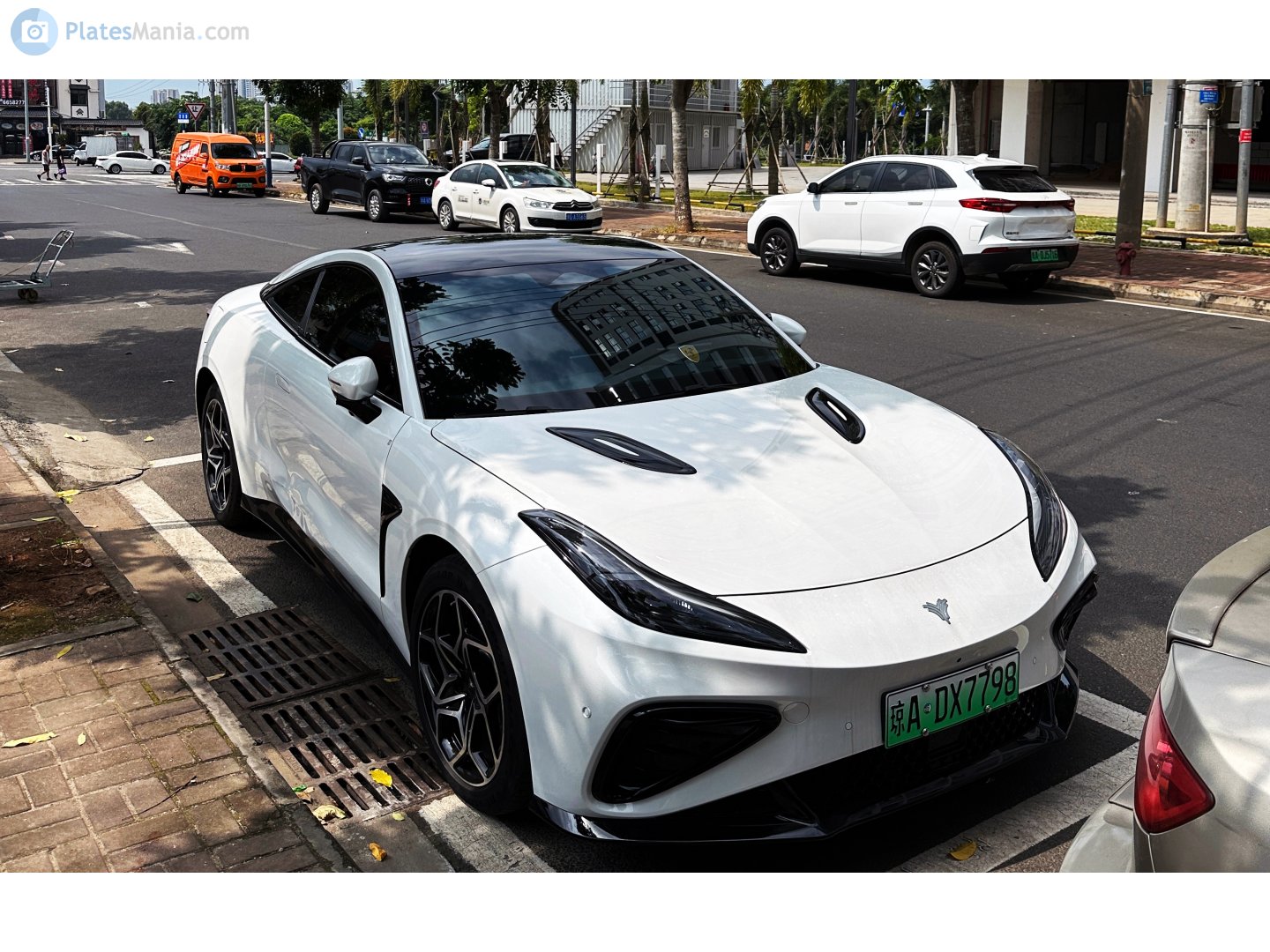 琼A·DX7798, Neta GT 