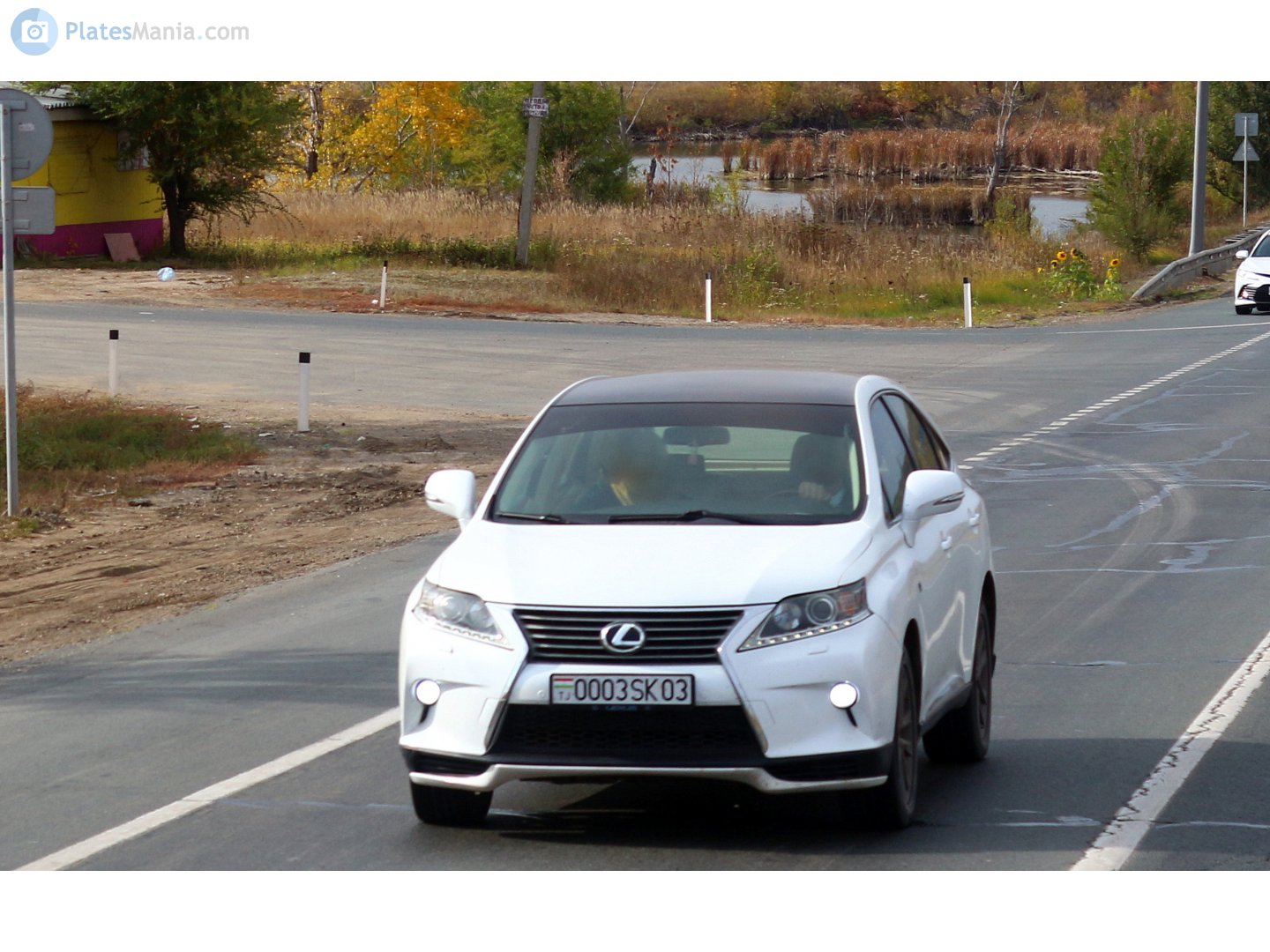0003SK03, Lexus RX 3rd gen (AL10), facelift, 2012–2015