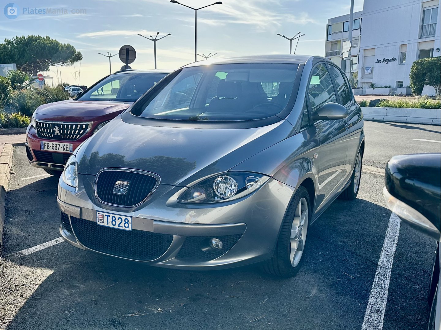 T828, SEAT Altea 1st gen (5P1), 2004–2015