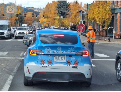BSL-439, Tesla Model Y