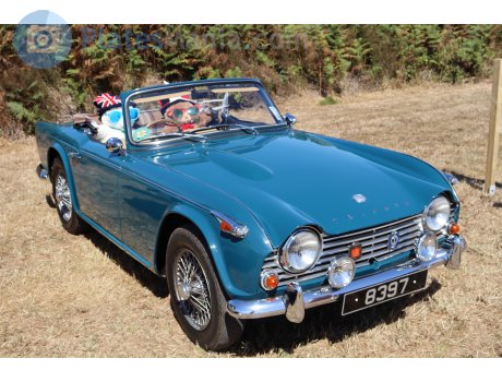 8397, Triumph TR4
