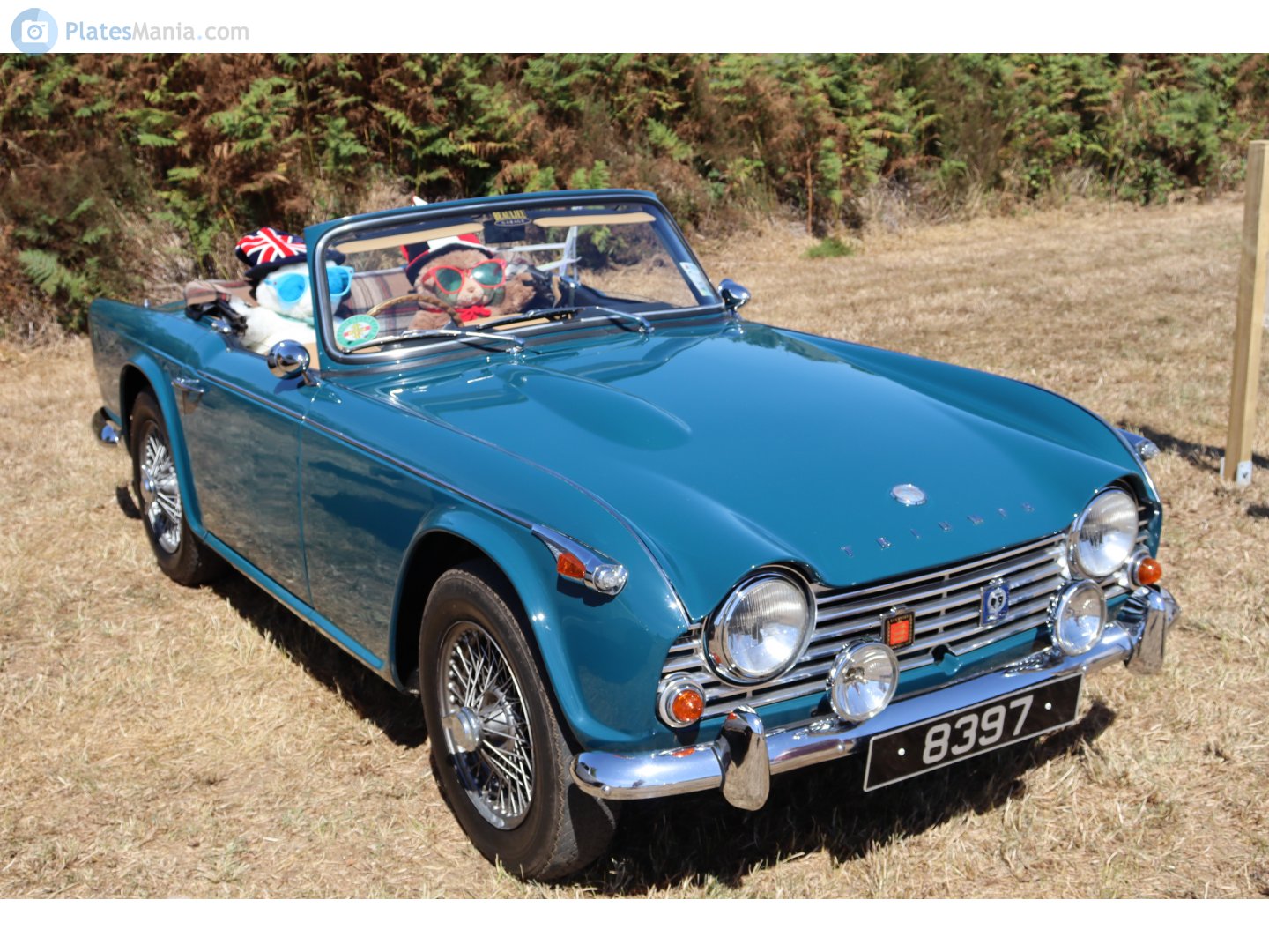 8397, Triumph TR4 