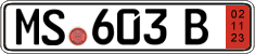 German license plate, Export transit plates