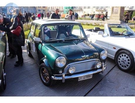 LI 478907, Rover Mini