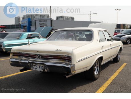 Z65 NXQ, Buick Skylark