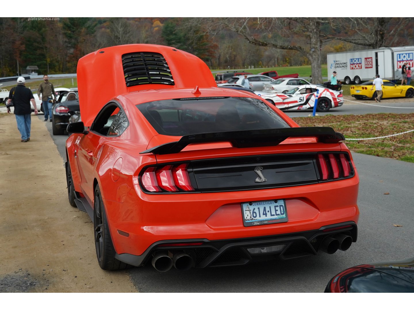 614-LED, Ford Mustang 6th gen Shelby 2-door Coupé (S550), facelift, 2017–2023