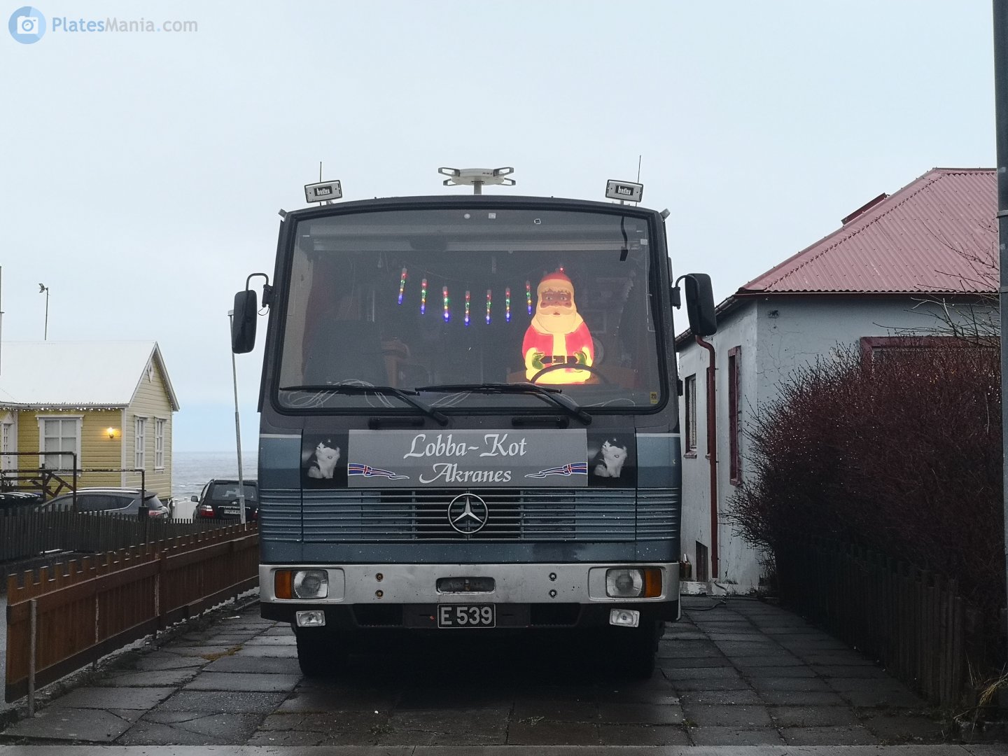 E 539, Mercedes-Benz LK-Series 1st gen, 1984–1998