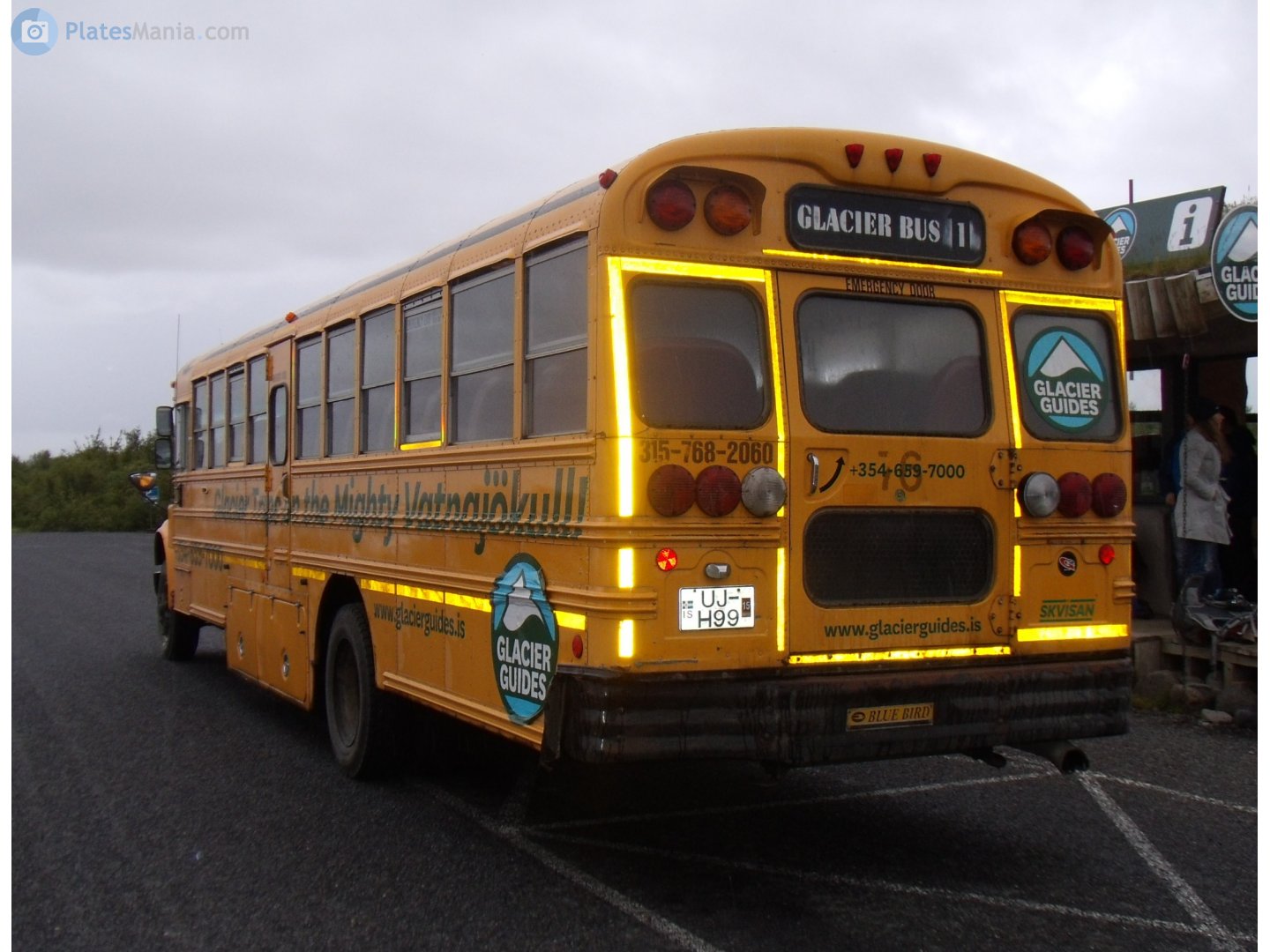 UJ H99, Blue Bird Conventional 