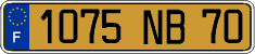 French license plate, FNI