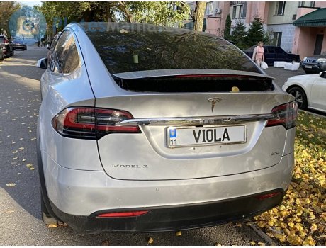 11 VIOLA, Tesla Model X