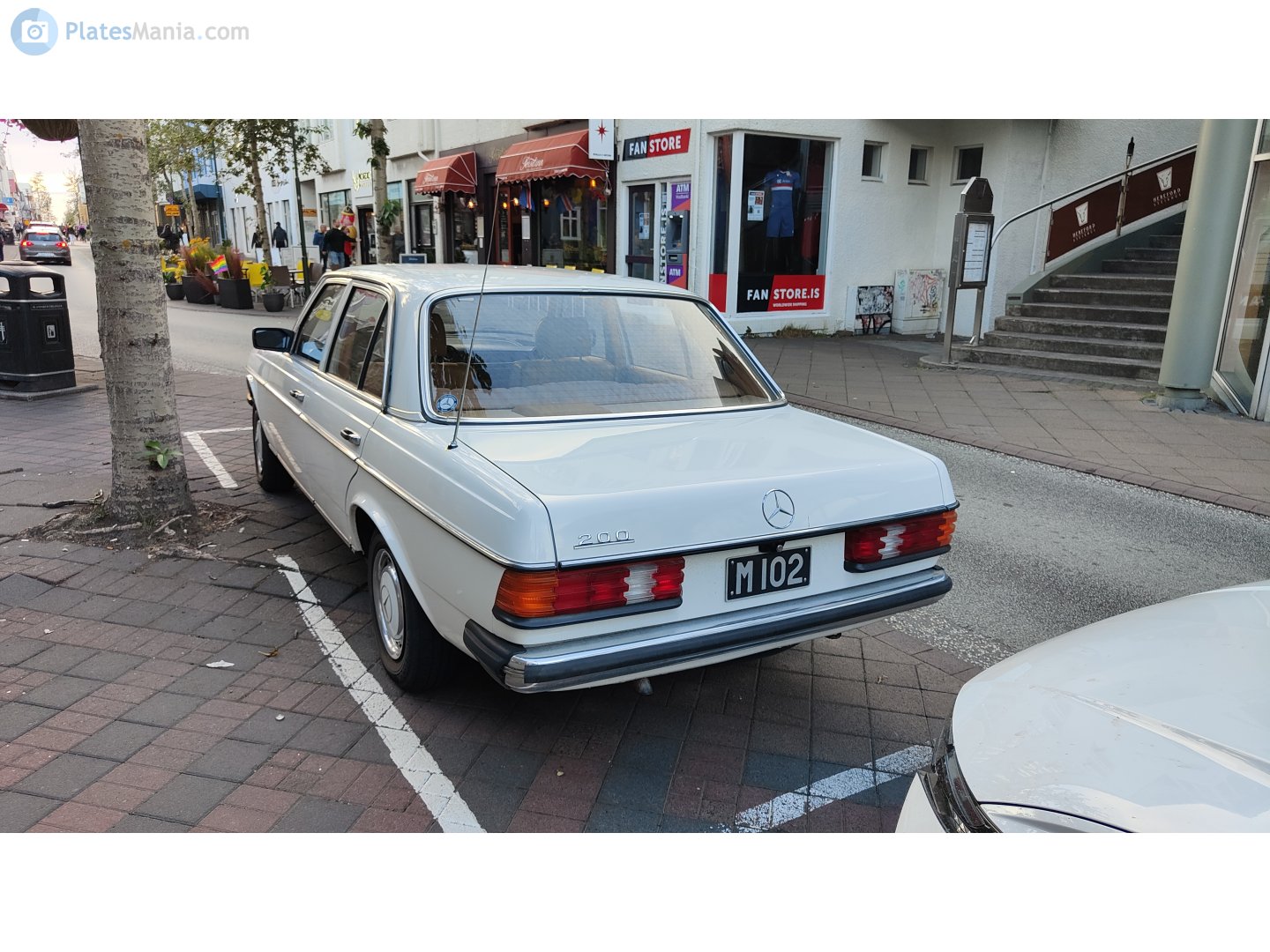 M 102, Mercedes-Benz E-Klasse 200–300 Sedan (W123), 1975­–1986