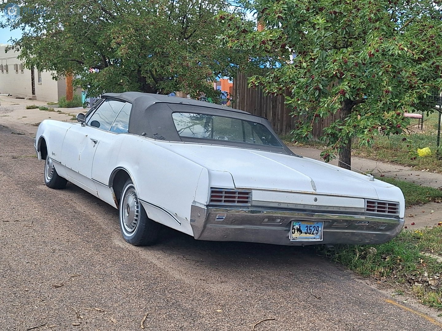 5 3529, Oldsmobile 88 6th gen 1965 2-door Hardtop (37/47; B-body), 1964–1965