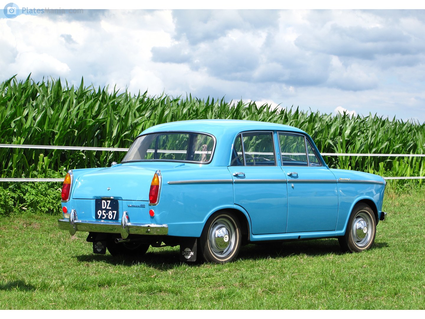 DZ-95-87, Datsun Bluebird 1st gen Sedan (310), 1959–1963