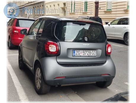 ZG 9728-GO, Smart ForTwo