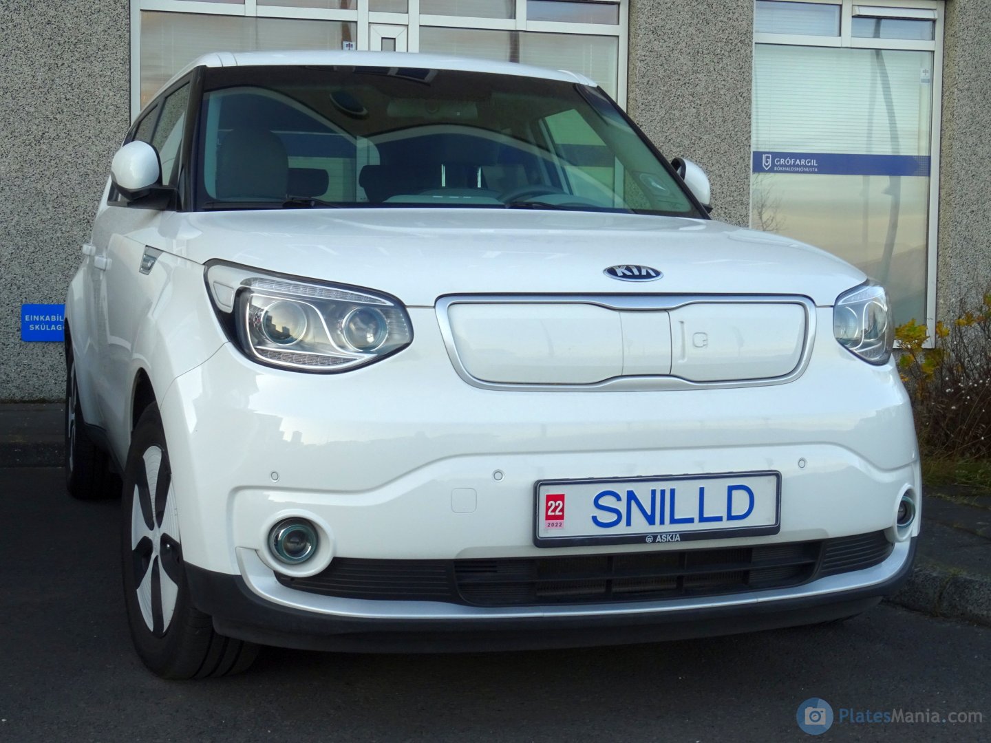 SNILLD, Kia Soul 2nd gen EV (PS), 2014–2019