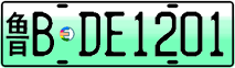 License plate of China, Electric vehicles