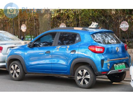 鲁B·DE1201, DongFeng Fengshen EX1