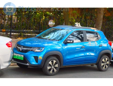 鲁B·DE1201, DongFeng Fengshen EX1