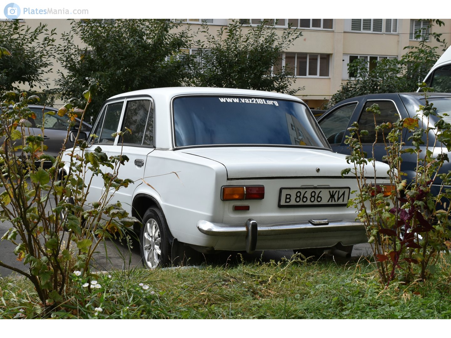 в 8686 ЖИ, Lada (VAZ) 2101 2101, 1970–1983
