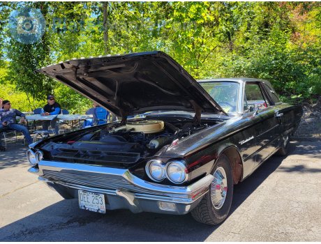 DEE 263, Ford Thunderbird