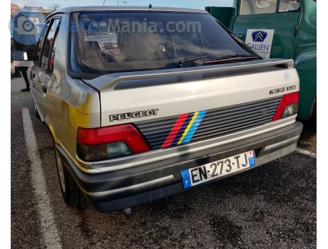 EN-273-TJ, Peugeot 309