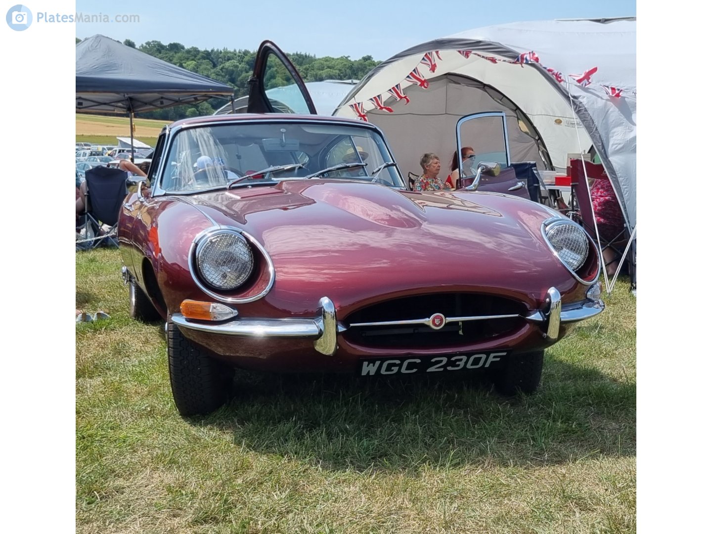 WGC230F, Jaguar E-Type 