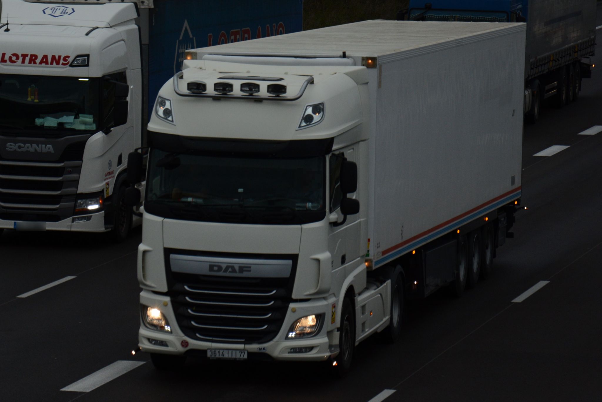 3614|أ|77, DAF XF 4th gen, 2013–2017