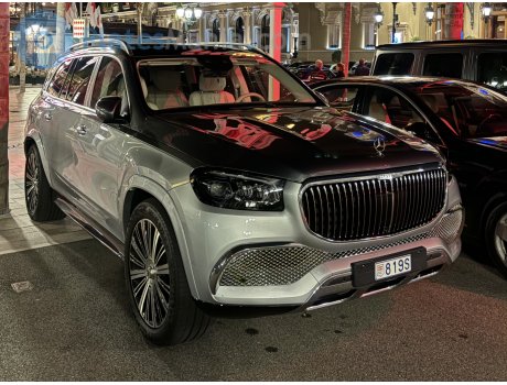 819S, Mercedes-Benz GLS-Klasse