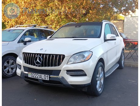 0222AL01, Mercedes-Benz M-Klasse