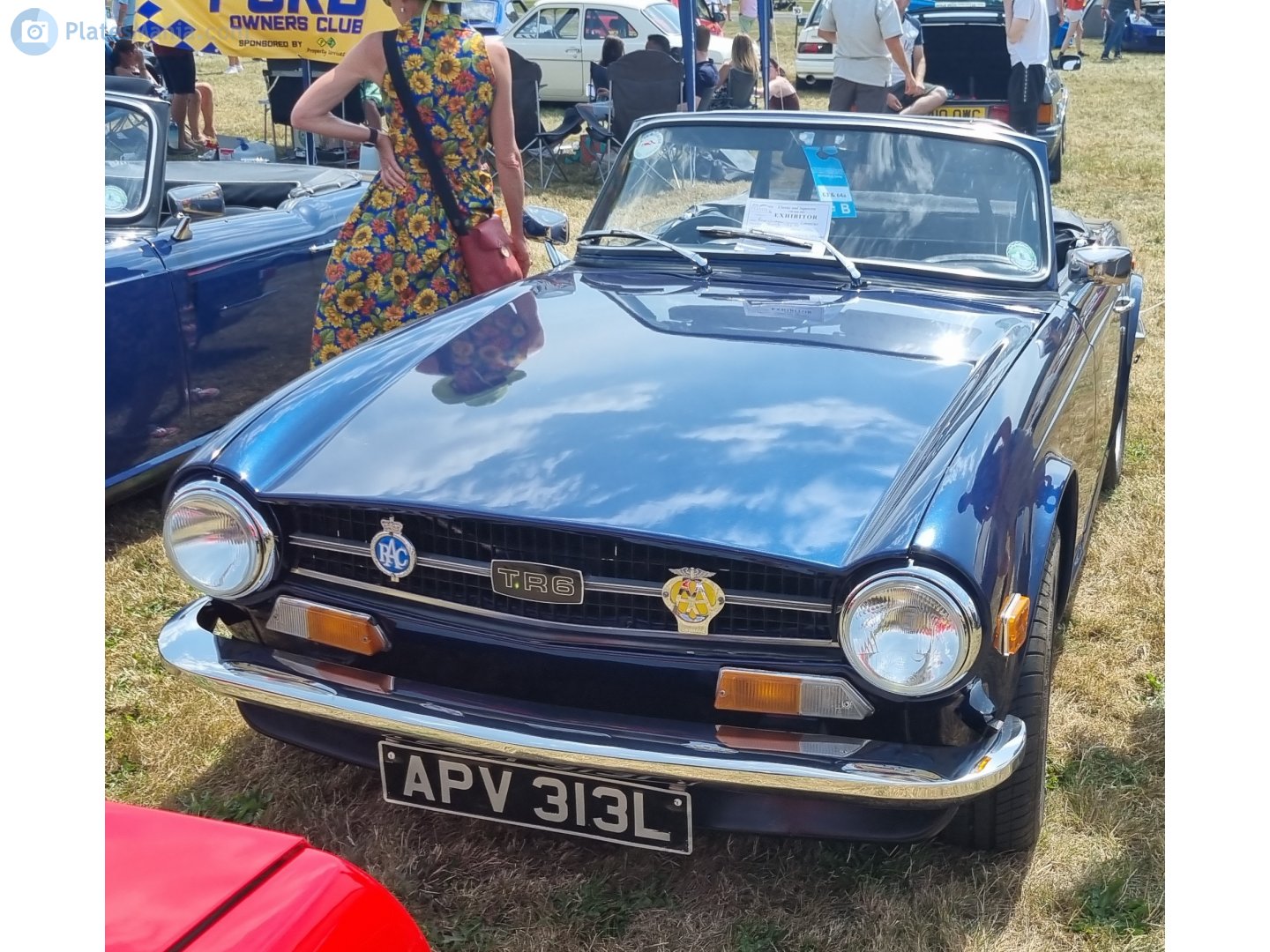APV313L, Triumph TR6 