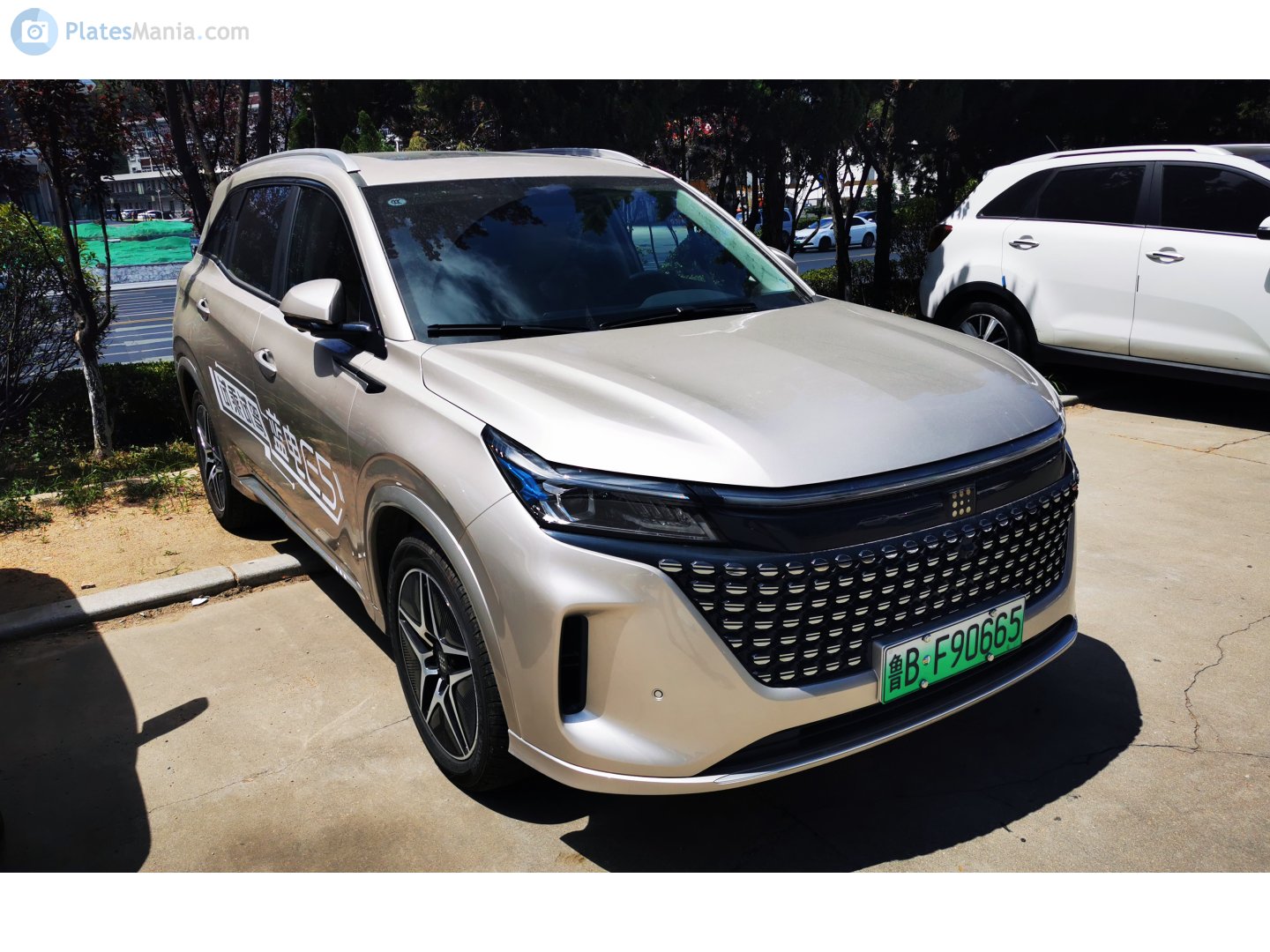 鲁B·F90665, Fengon (Fengguang) Landian E5 