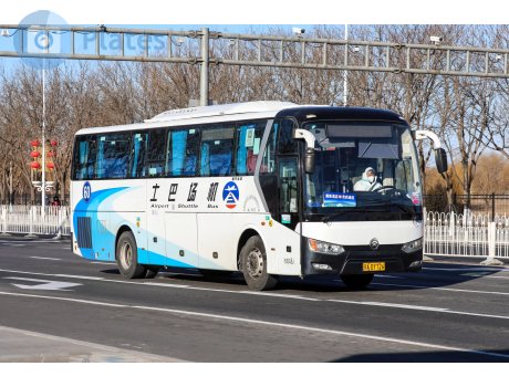 京A·DY726, Golden Dragon XML6112