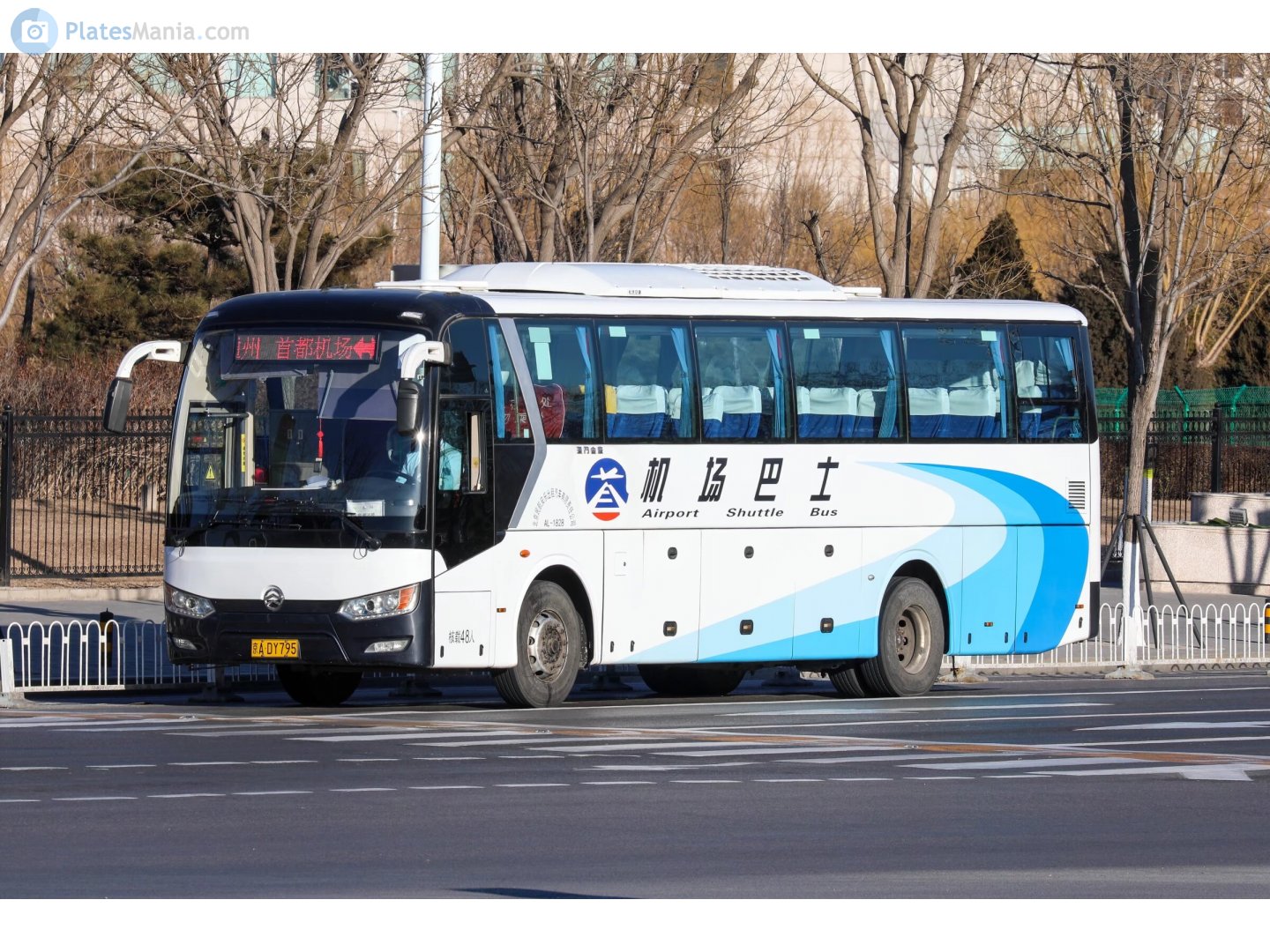 京A·DY795, Golden Dragon XML6112 