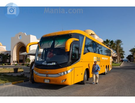 ‎٣٤٧‎ ‎ى ف ج‎, Marcopolo Paradiso