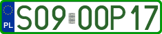 License plates of Poland, Professional plates