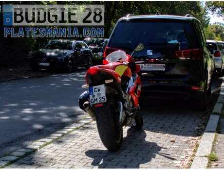 CW GM 25, Aprilia RS