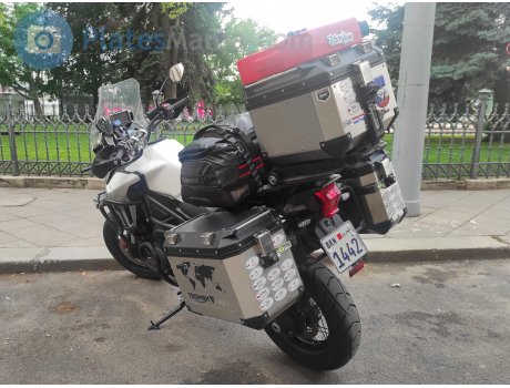 1442, Triumph Motorcycles Tiger