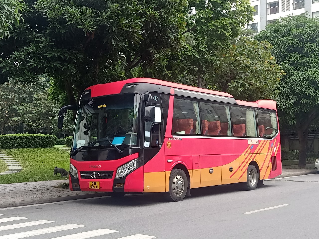 29B-509.31, Thaco Meadow 