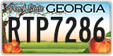 Georgia, ABC 1234